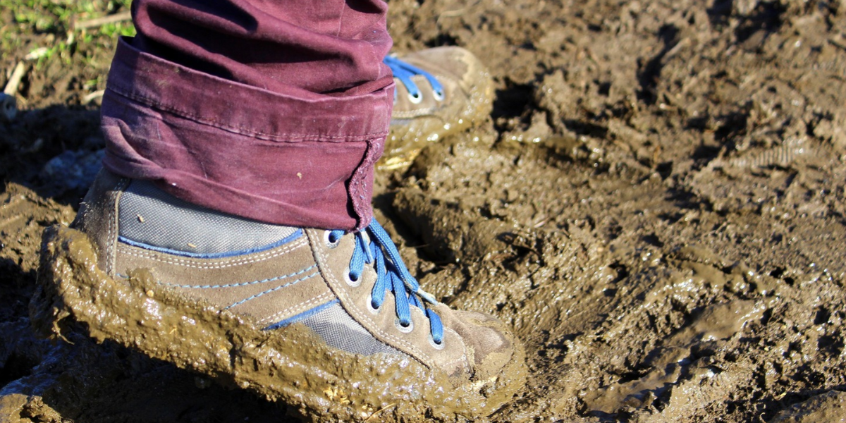 wet soil